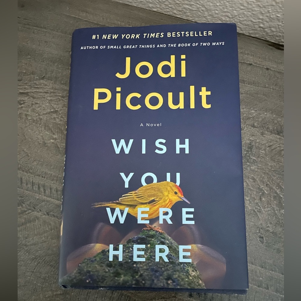 Jodi Picoult 'Wish You Were Here' Hardcover Book